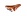 Brooks Brooks B17 honey