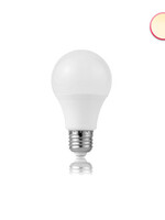 LEDWINKEL-Online E27 LED Lamp 6W A60 3000K
