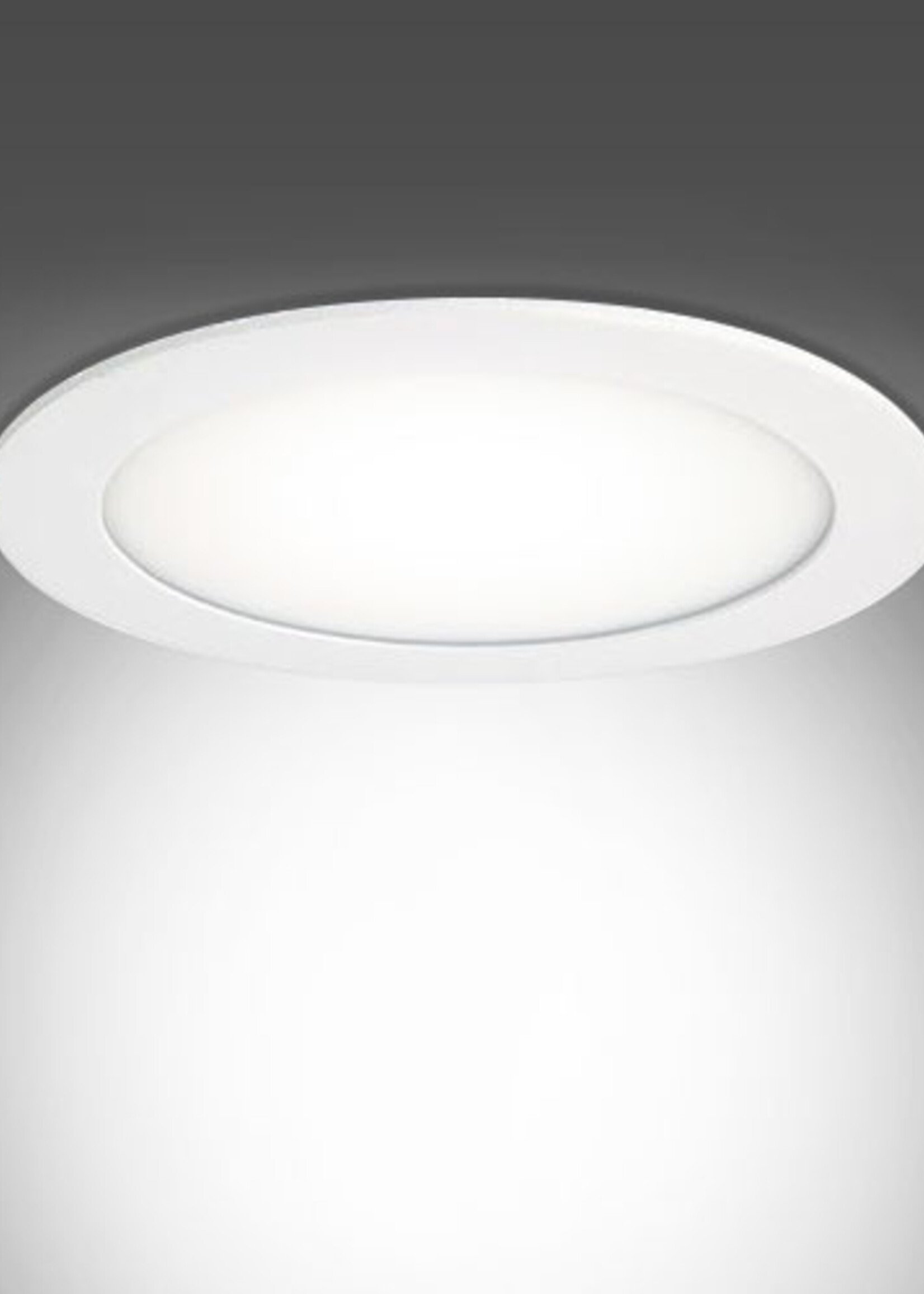 LEDWINKEL-Online LED Downlight ⌀170mm 12W dimmable recessed
