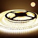 LEDWINKEL-Online LED Strip 5 meter 2400K extra warm wit 12V of 24V 60 LEDs p/m - Basic LEDWINKEL-Online LED Strip 5 meter 2400K extra warm wit 12V of 24V 60 LEDs p/m - Basic