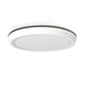 LEDWINKEL-Online WiFi LED Opbouw downlight RGB+CCT ⌀300mm 35W LEDWINKEL-Online WiFi LED Opbouw downlight RGB+CCT ⌀300mm 35W