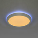 LEDWINKEL-Online WiFi LED Opbouw downlight RGB+CCT ⌀300mm 35W LEDWINKEL-Online WiFi LED Opbouw downlight RGB+CCT ⌀300mm 35W