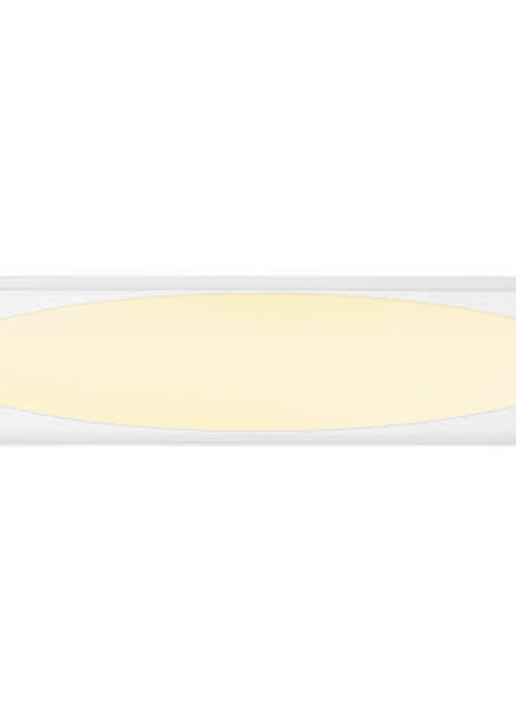 LEDWINKEL-Online LED Paneel met ovale lichtplaat 30x120 cm 36W