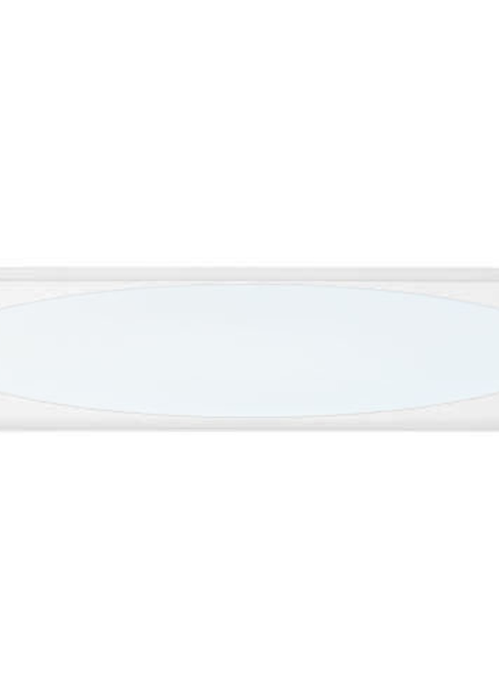 LEDWINKEL-Online LED Paneel met ovale lichtplaat 30x120 cm 36W