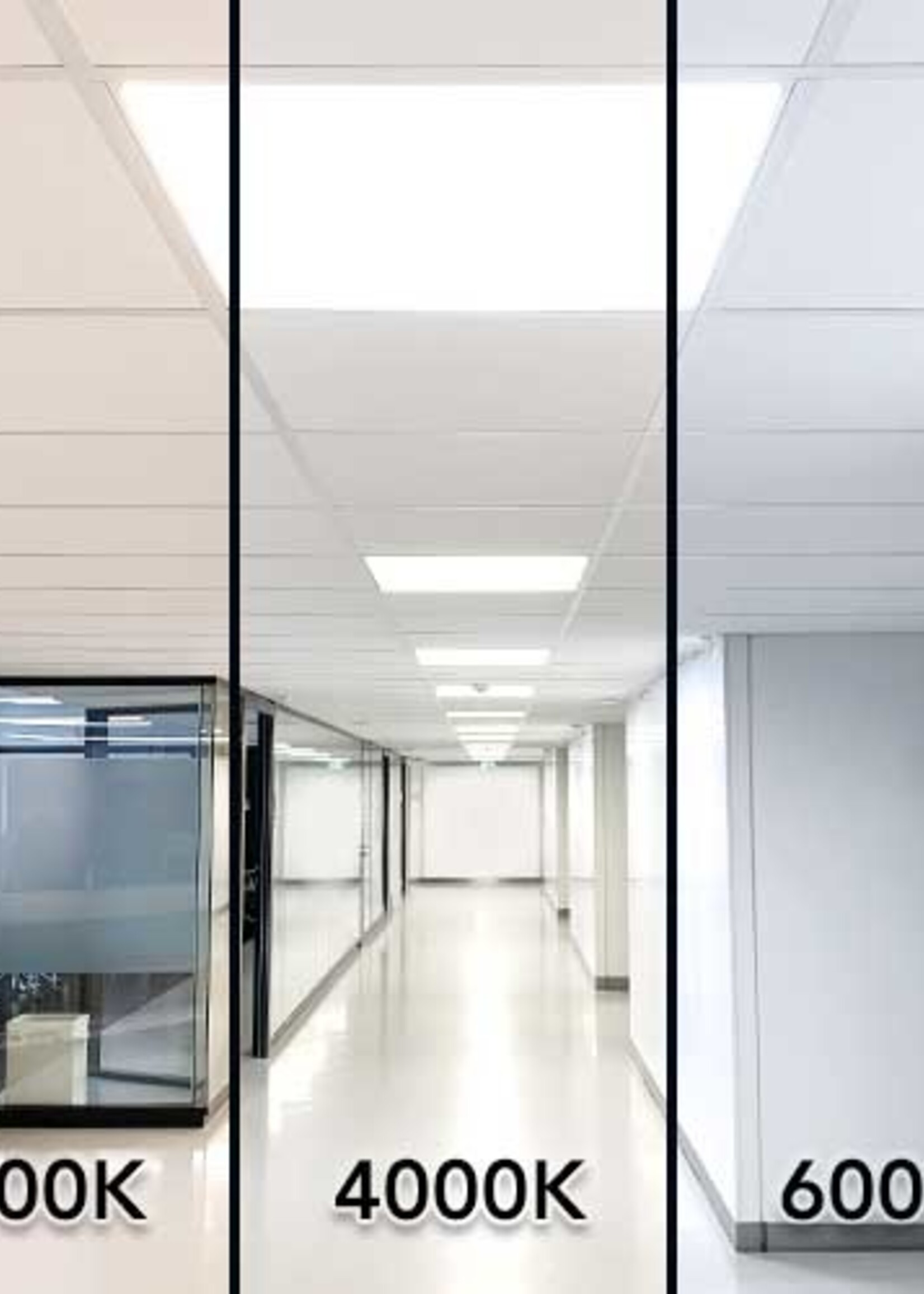 LEDWINKEL-Online LED Panel with oval light plate 30x120 cm 36W