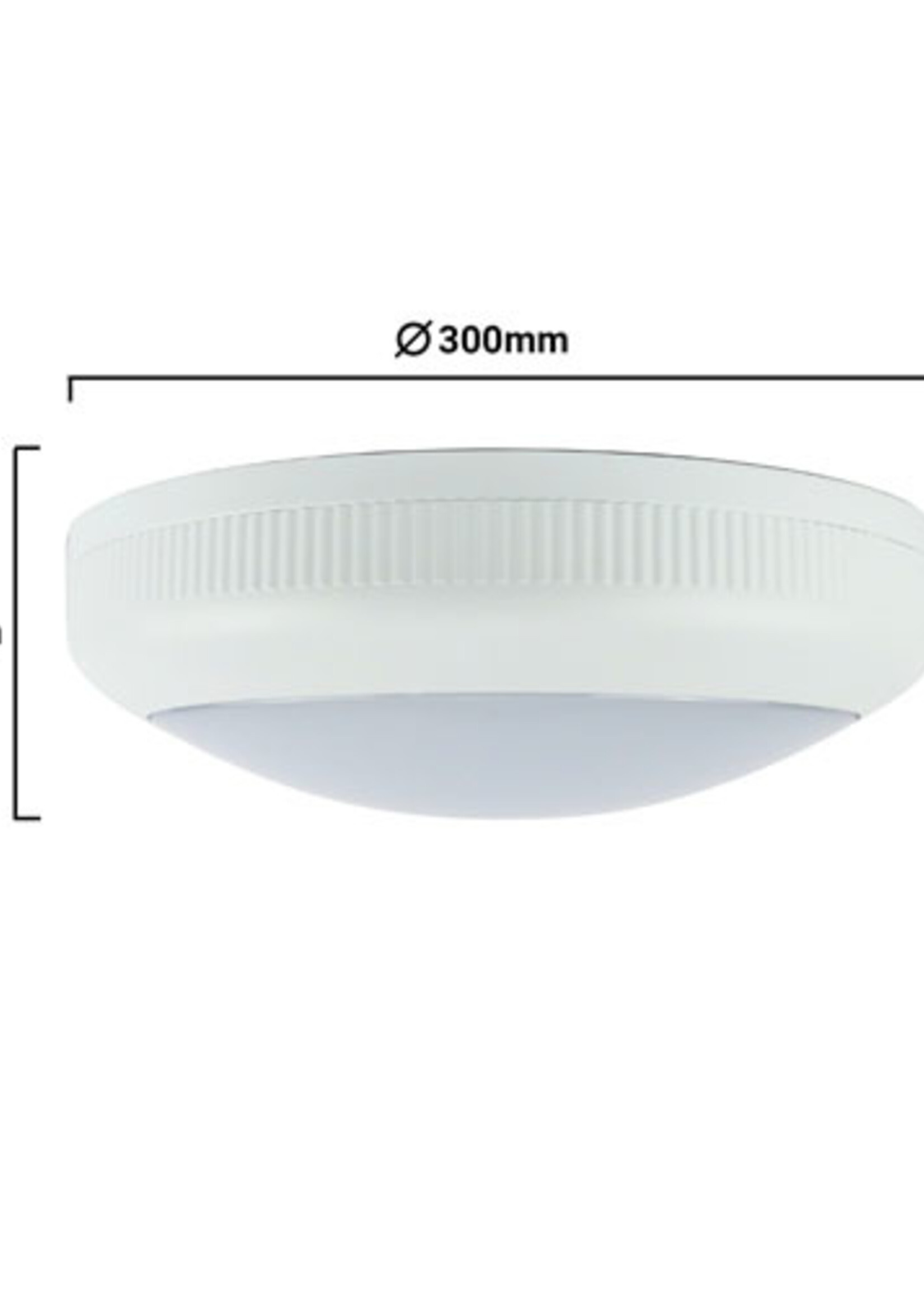 LED by Samsung LED Bulkhead surface mount with sensor IP66 IK08 waterproof 30cm 20W