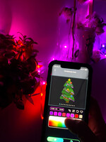 SOLISTECH Slimme LED lichtsnoer RGB 10 meter App bediening 5 watt