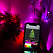 SOLISTECH Smart LED light string RGB 10 meters App control SOLISTECH Smart LED light string RGB 10 meters App control