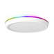 LEDWINKEL-Online WiFi LED Opbouw downlight RGB+CCT ⌀300mm 35W LEDWINKEL-Online WiFi LED Opbouw downlight RGB+CCT ⌀300mm 35W