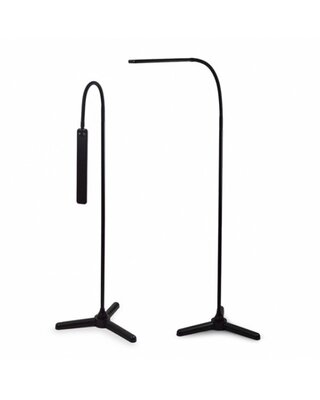 Slim LED Lamp  On a Stand