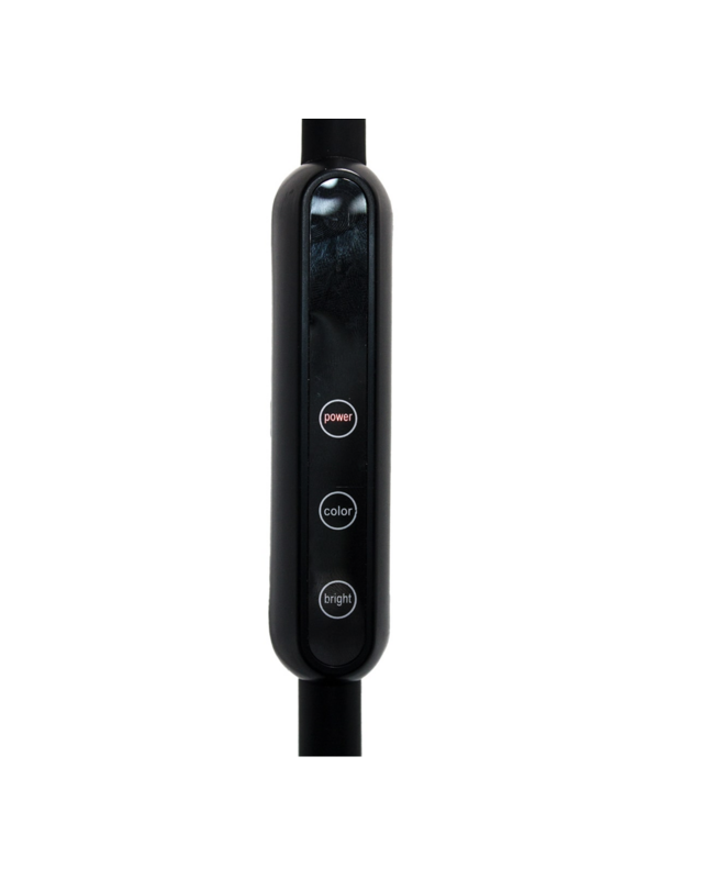 Lumina Max - Black FLOOR Lamp