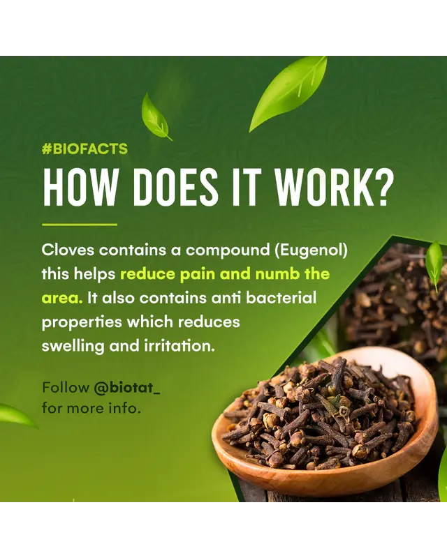 BIOTAT BIOTAT - Numbing Tattoo Glide - 10g Pillow