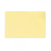 Practice Skin - Thick - 20x30x2.1mm