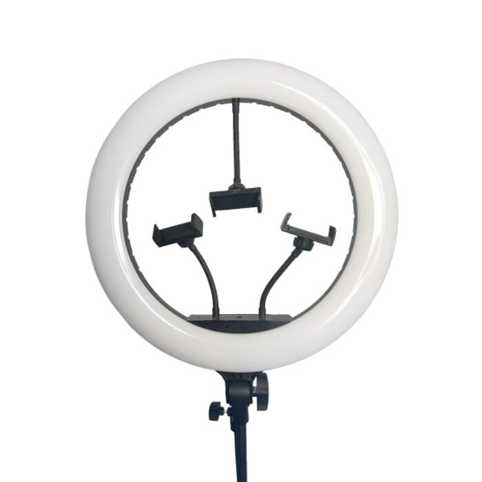 Orbit Ring Lamp