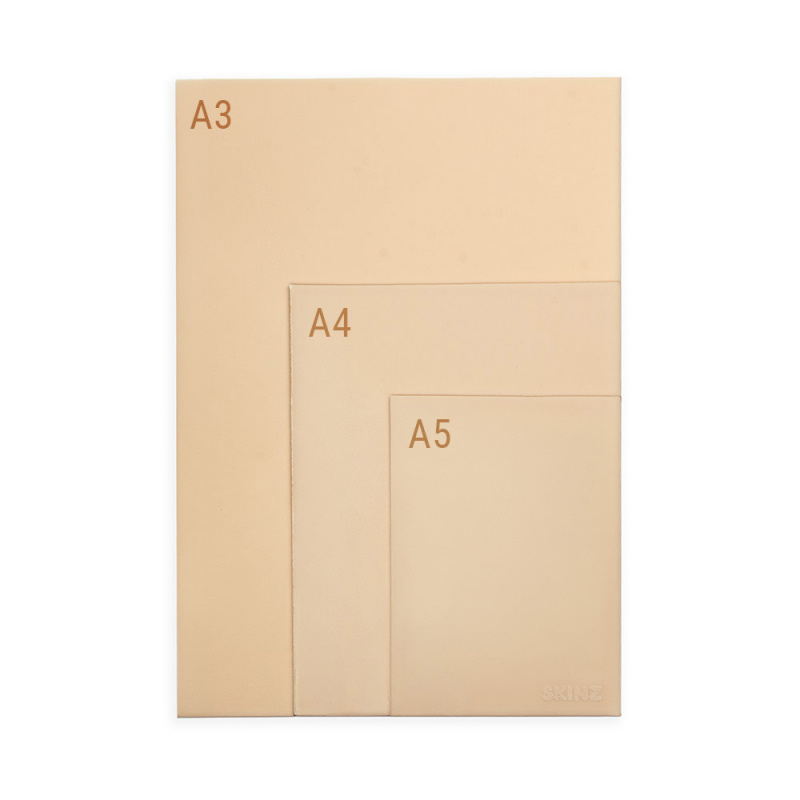 Skinz A5 Practice Skin - Fitzpatrick 1