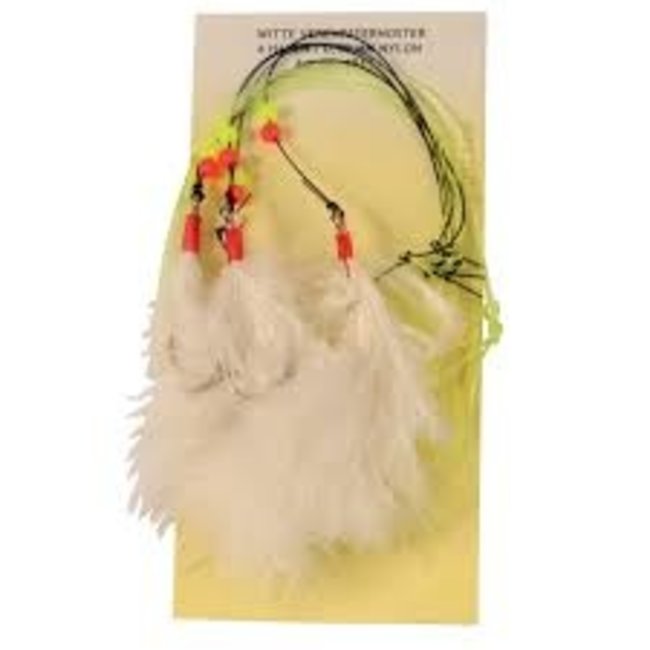 Albatros Veren Paternoster