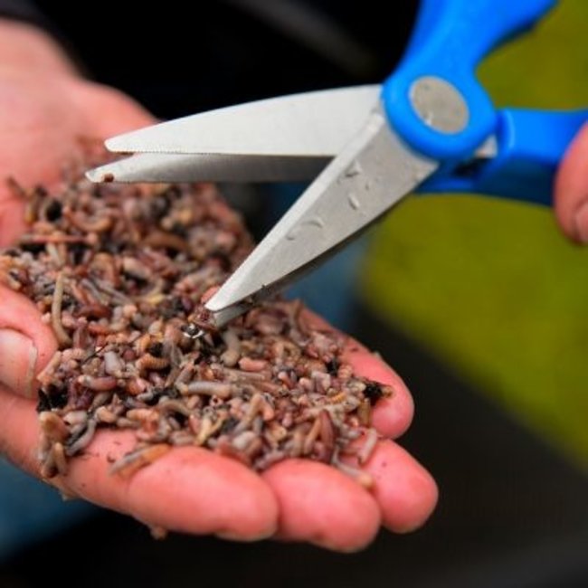 Rispens Double Blade Wormenschaar