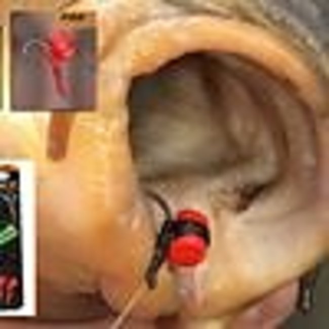 Fox Zig Aligna kit (6 x sleeves, tool and 3 x foam)