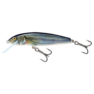 Salmo Floating Mnnow 6 cm spirlin