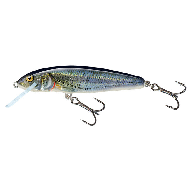 Salmo Drijvende minnow 6 cm voor baars, snoekbaars en forel
