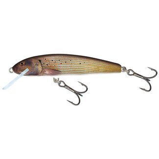 Salmo Sinking Minnow 6 Salmo Sinking Minnow 6