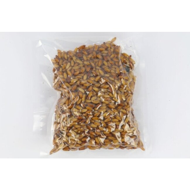 Evezet Casters per liter voor witvis en voornvisserij