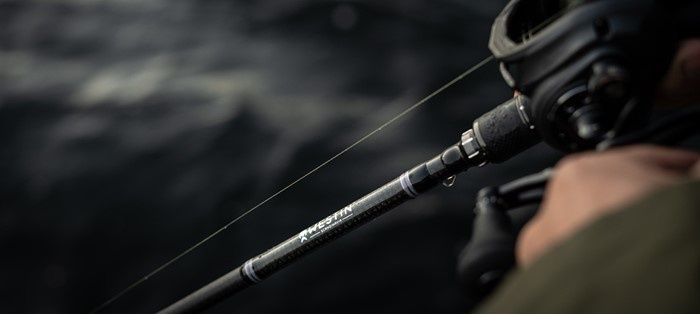 De Beste Vistechnieken voor het Voorjaar