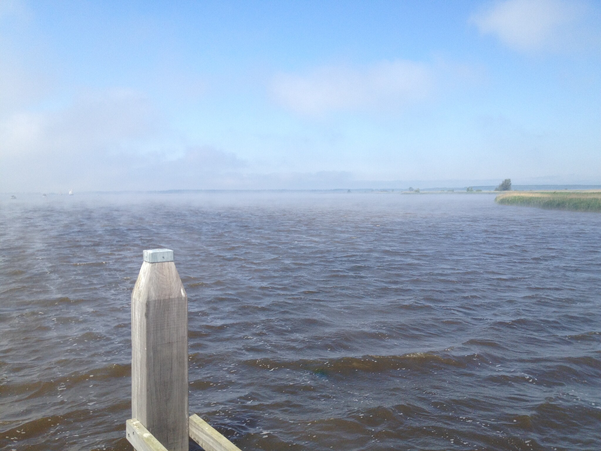Vissen in het Lauwersmeer