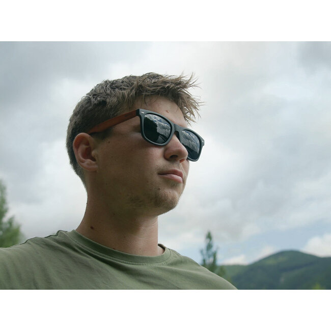 Delphin sunglasses polarized