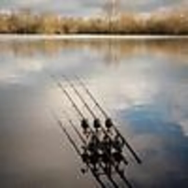 Fox Eos X Shrink Rod 8-10 ft 3 lb âCompacte karperhengel met verstelbare lengte