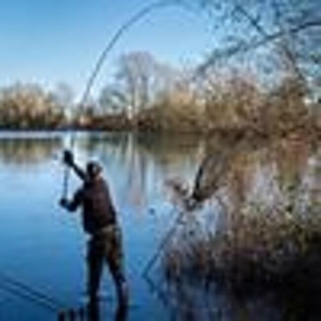 Fox EOS X Rod 10FT 3LB Full Shrink âCompacte karperhengel met sterke actie en comfortabele grip