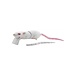 Spro Spro BBZ 1 Rat