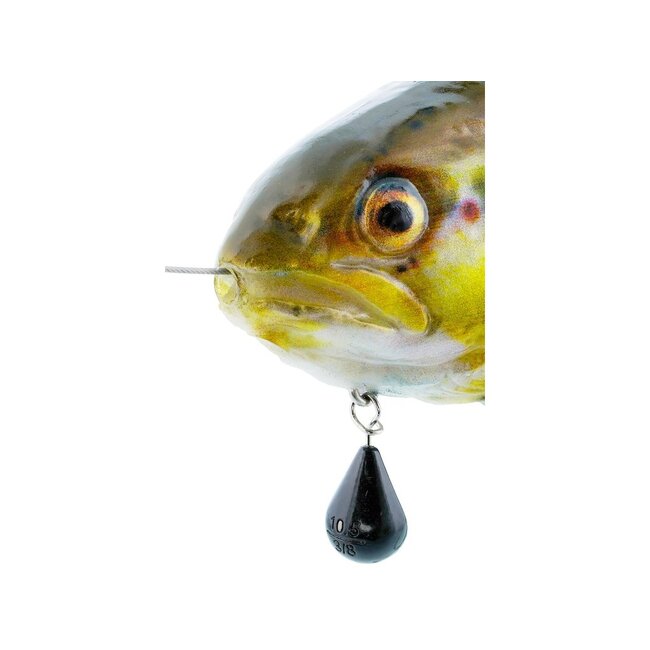 Westin  Tommy the Trout Inline 20 cm 100 g âSlow Sinking Kunstaas
