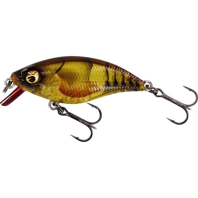 Westin Crankbait 5 cm 6 gr Clear Brown Craw voor roofvis