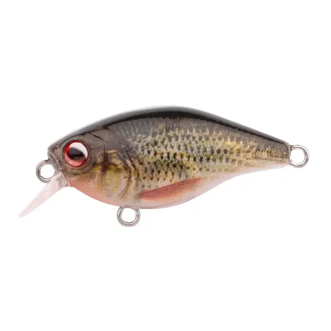 Spro Ikiru Mini Crank Slow Foating Lengte 3,8 cm 4,0 gr Diepte 0,5 m Roach