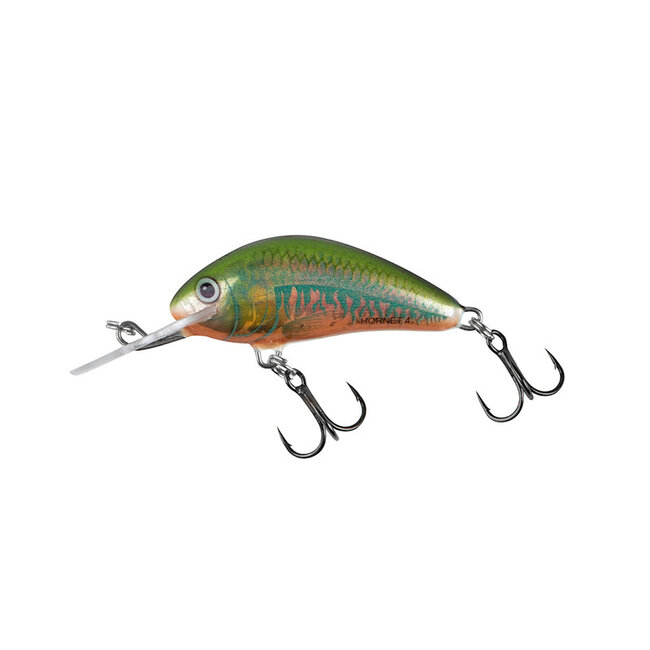 Salmo Rattlin Hornet 5,5 cm crankbait voor 2,0-4,0 meter