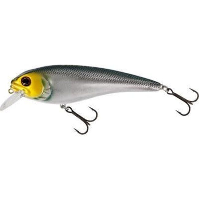 Westin Rawbite Crankbait 17cm 100 gr Duikdiepte 2-4 m Headlight