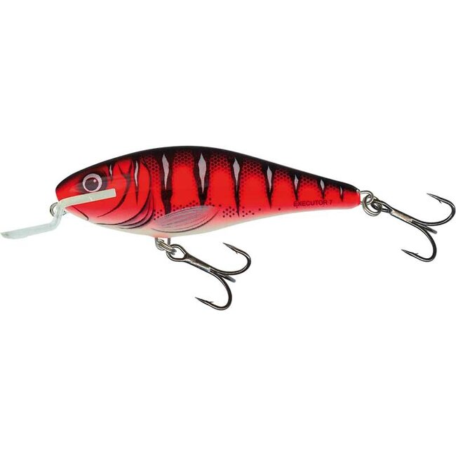 Salmo Wobbler 12 cm 33 g voor snoek op 2,5 tot 5 meter