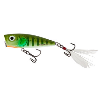 Salmo Floating Rattlin Pop 7 cm 12,5 gr  Green Gill