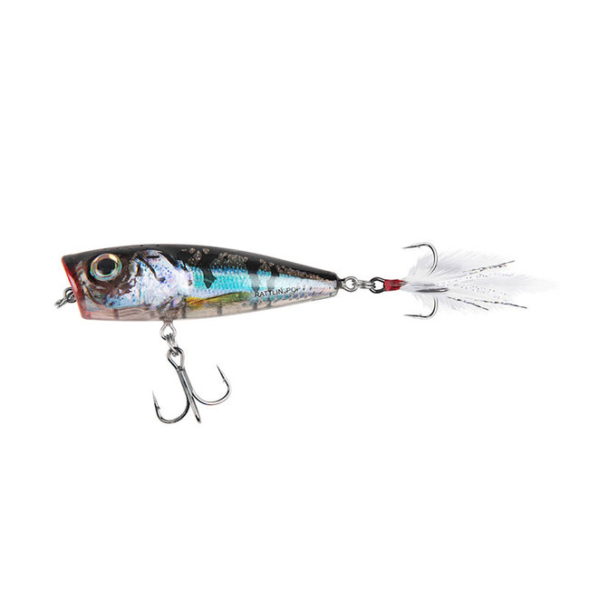 Salmo Floating Rattlin Pop 7 cm 12,5 gr  Clear Blue Shiner