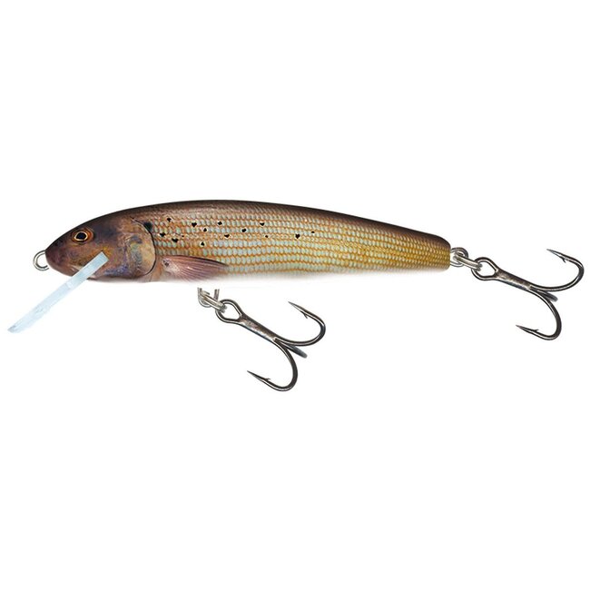 Salmo Sinking minnow 6 cm 6 gr voor roofvis tot 1 meter diep