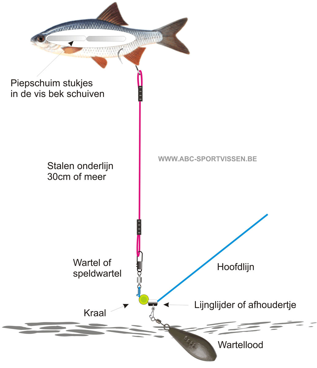 Snoek vissen met doodaas: complete gids voor beginners