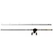 Abu Garcia Max Pike Casting Combo Lengte 2.44 m 40-120 gr 2 sec 300 s 5BB 6:4 1220/0.32