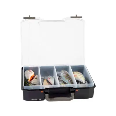 Boxen