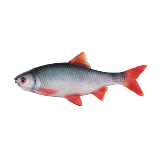 Fox Rage Ultra Naturals Roach Fillets