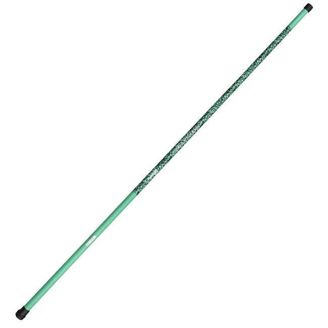 Mitchell Tele Pole-T 300