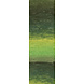 LANG Yarns LANG Yarns Merino 120 degradé 002 groen LANG Yarns LANG Yarns Merino 120 degradé 002 groen