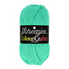 Scheepjes Scheepjes Colour Crafter 1422 Eelde Scheepjes Scheepjes Colour Crafter 1422 Eelde