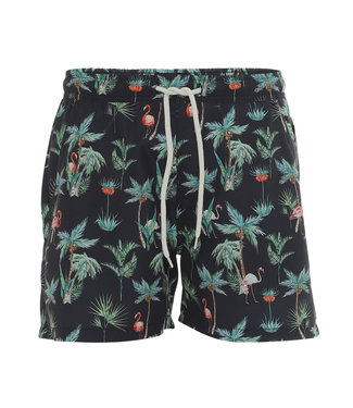 Clean Cut CPH Swimshort Hector Black