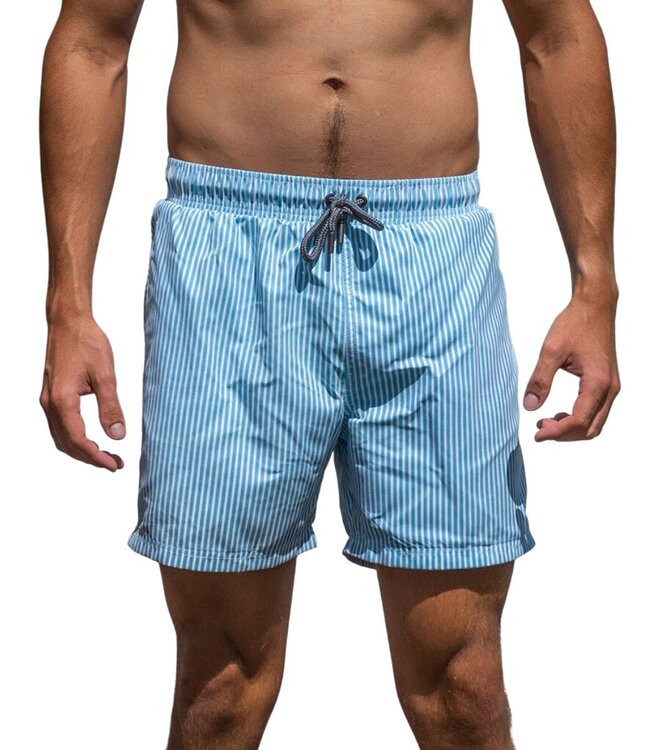 Swimshort striped dark grey blue